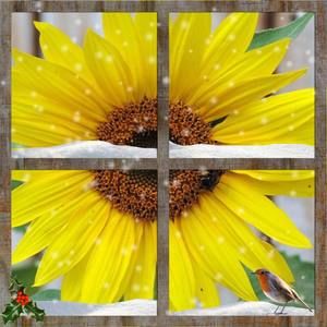 Meet your Posher, Jan